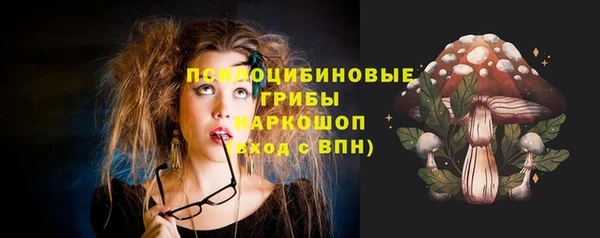 Альфа ПВП Новозыбков