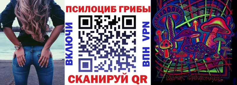 гидра зеркало  дарнет шоп  Чудово  Галлюциногенные грибы ЛСД 