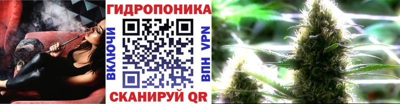 Бошки марихуана конопля  Чудово 